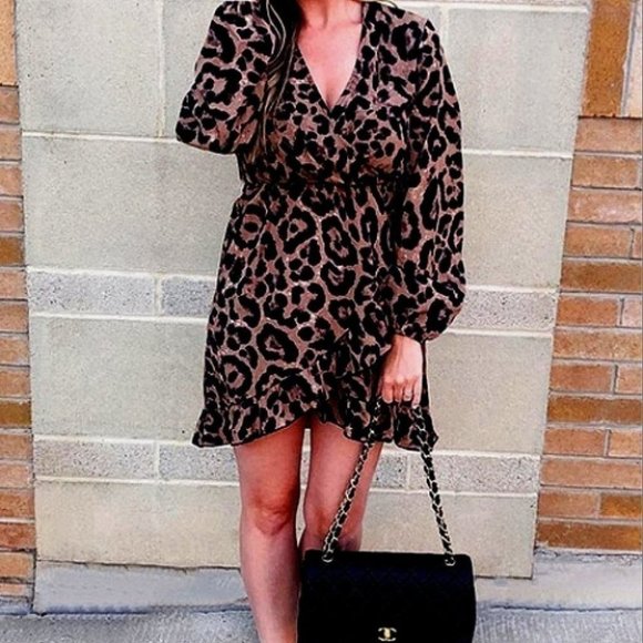 Leopard Print Dress - Picture 2 of 7